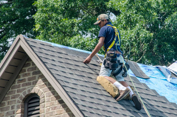 Best Shingle Roofing Installation  in Narrows, VA